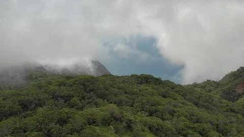 Clouds above a forest ridge in the Kauai highlands 库存影片 96047199