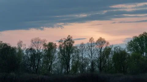 Clouds above forest at twilight Stock Photos