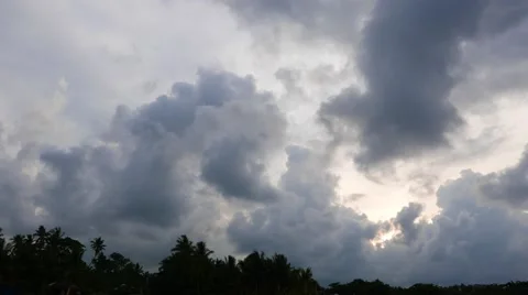 Clouds above Palm Trees (Time Lapse) Stock Footage 55266971