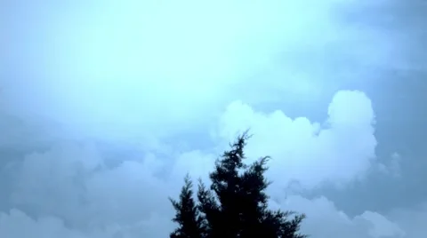 Clouds Above the Tree (Timelaps) Stock Footage 67261120