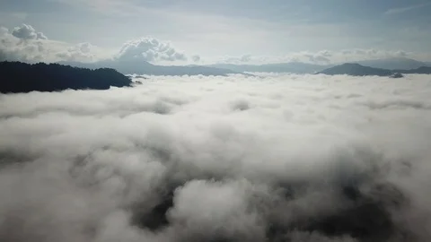Clouds above Tropical Rainforest Stock Footage 91608759