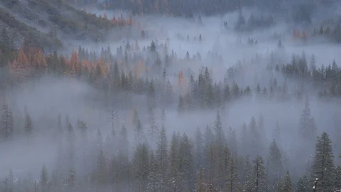Clouds Across Pine Trees in Yosemite Valley 스톡 동영상 122400134