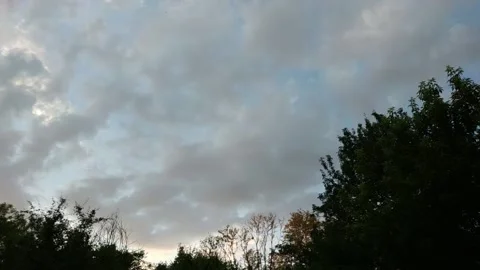 Clouds after the storm above the trees Video stock 119905546