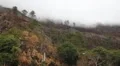 Clouds ahead 3009 HD Footage