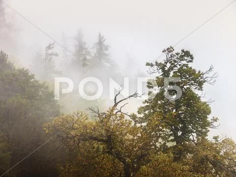 Clouds in the Alps Stock-Fotos