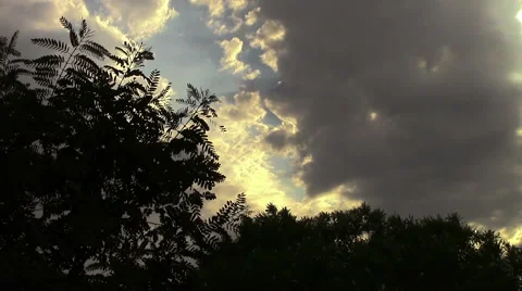 Clouds and blowing leaves Video stock 53230535