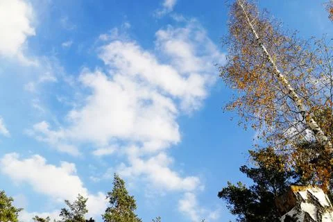 Clouds and blue sky background with copy space Foto stock