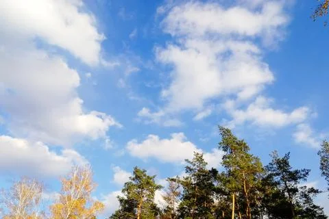 Clouds and blue sky background with copy space Foto stock