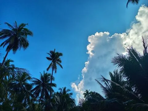 Clouds and blue sky Stock Photos