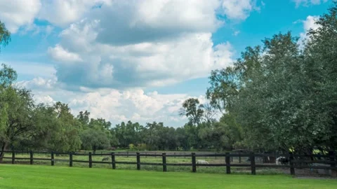 Clouds and blue sky timelapse in the country. 12 seconds Stock Footage