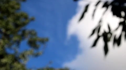 Clouds and blue sky with tree leaves in foreground during a sunny day Stock Footage 344878415