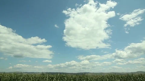 Clouds and bushes that are galloping while the car travels fast on a road out Stock Footage 95736994