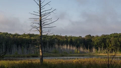 Clouds and clear sky over marsh 스톡 동영상 100138552