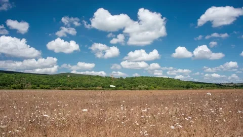 Clouds and flowers Time Lapse Stock Footage 137720772
