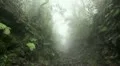 Clouds and fog in forest mountains 20120225 143340 HD Footage