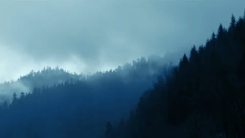 Clouds and Fog in the Forested Mountains Vidéo 106453545