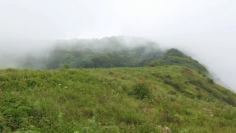 The clouds and fog is moving to hill on top of highest mountain in Thailand Stock Footage 126286635
