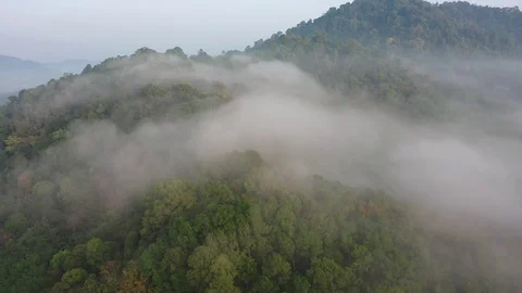 Clouds and fog over mountain rainforest Video stock 127905015