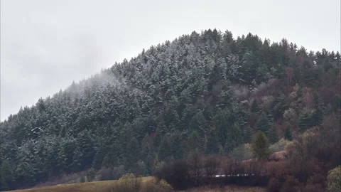 Clouds and fog over a pine forest in changeable April weather. Timelapse Stock-Footage 181871882