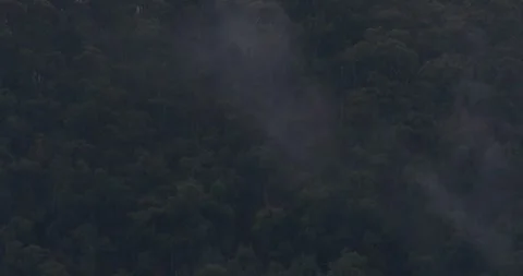Clouds And Fog Passing Through The Forest Trees, 8K 動画素材 332746515