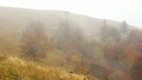 Clouds and fog time-lapse in yellow autumn mountain woodland area Stock Footage 89482086