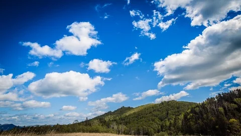 Clouds and forest timelapse Stock Footage 91250552