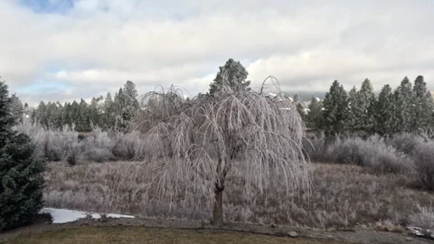 Clouds and frost melting time lapse Video stock 274366213