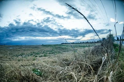 Clouds and grass meadow Stock Photos
