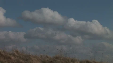 Clouds and grass moving 動画素材 29646472