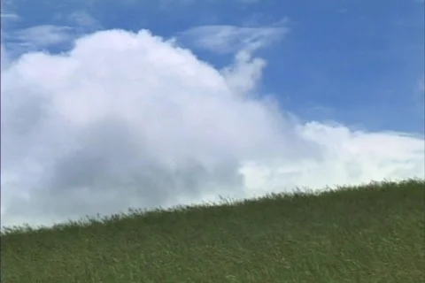 Clouds and Grass Time Lapse Stock Footage 297149