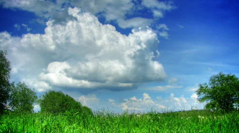 Clouds and grass time lapse Stock Footage 436174