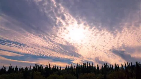 Clouds and green cypresses at sunset, time lapse Stock Footage 69165357