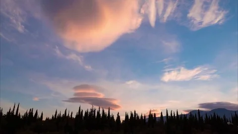 Clouds and green cypresses at sunset, time lapse Stock Footage 69172371
