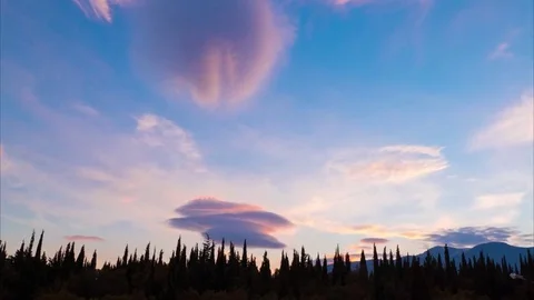 Clouds and green cypresses at sunset, time lapse Stock Footage 69172398