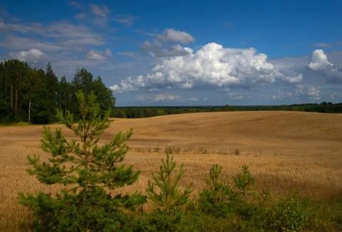 Clouds and land; Stock Photos