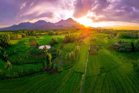 Clouds and Light over Paddy Terraces, Bengkulu, Indonesia, Asia Fotos Stock