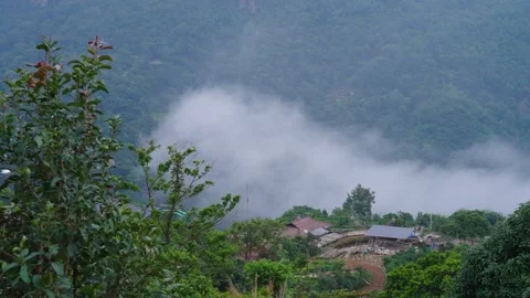 Clouds and lumberyards flowing through the valley in the early morning Stock Footage 313343936