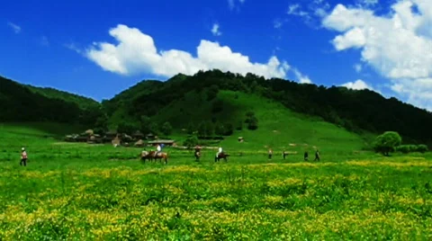 Clouds and meadow Vídeos de archivo 790673