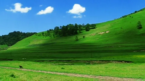 Clouds and meadow Stock Footage 790703