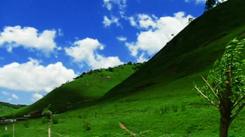 Clouds and meadow 動画素材 790719