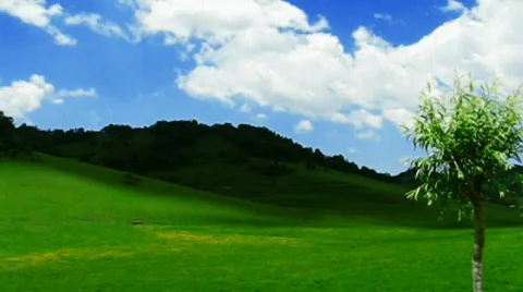 Clouds and meadow Vídeos de archivo 790722