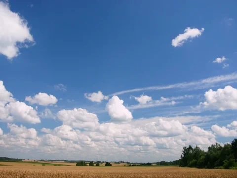 Clouds and meadow 動画素材 78186652