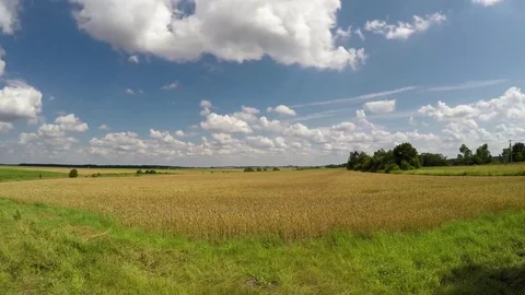 Clouds and meadow Stock Footage 78186667