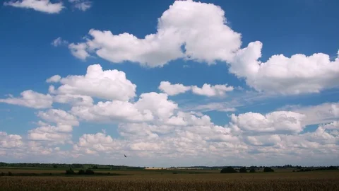 Clouds and meadow Video stock 78186789
