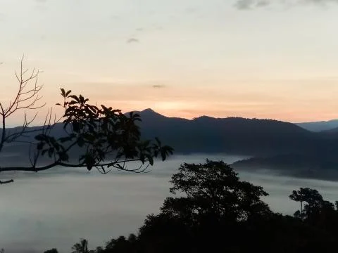 Clouds and mist covered at the top of the mountain. Stock Photos