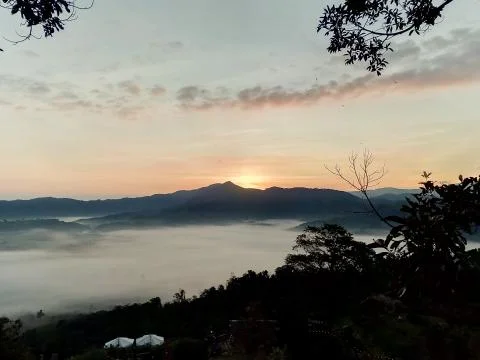 Clouds and mist covered at the top of the mountain. Stock Photos