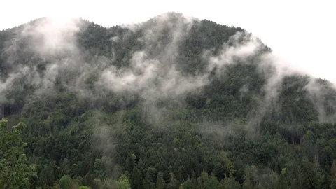 Clouds and Mist moving up, Austrian Alps Stock Footage 98837761