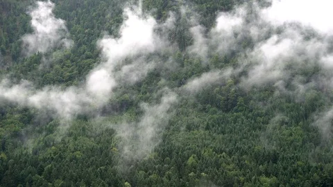 Clouds and Mist moving up, Austrian Alps Stock Footage 98837838