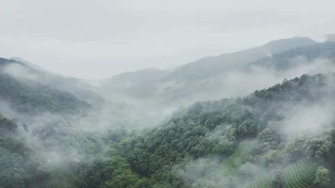 Clouds and mist moving through green mountain forest valleys Stock Footage 333817008