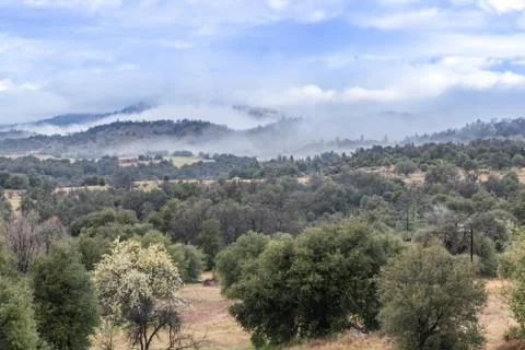 Clouds and mist over rolling hills in spring time with pear tree in bloom Stock Photos